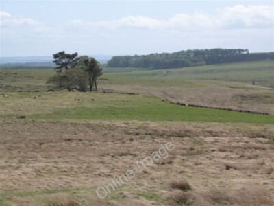Foto 6x4 Haughton Common und der Schafstall nördlich des östlichen Endes von C c2009
