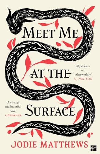 Meet Me at the Surface by Jodie Matthews 9780008585051 NEW Free UK Delivery - Image 7