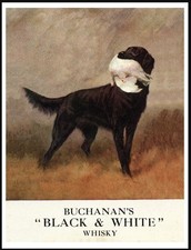 FLAT COATED RETRIEVER DOG ART PRINT POSTER WHISKY ADVERT A4 SIZE