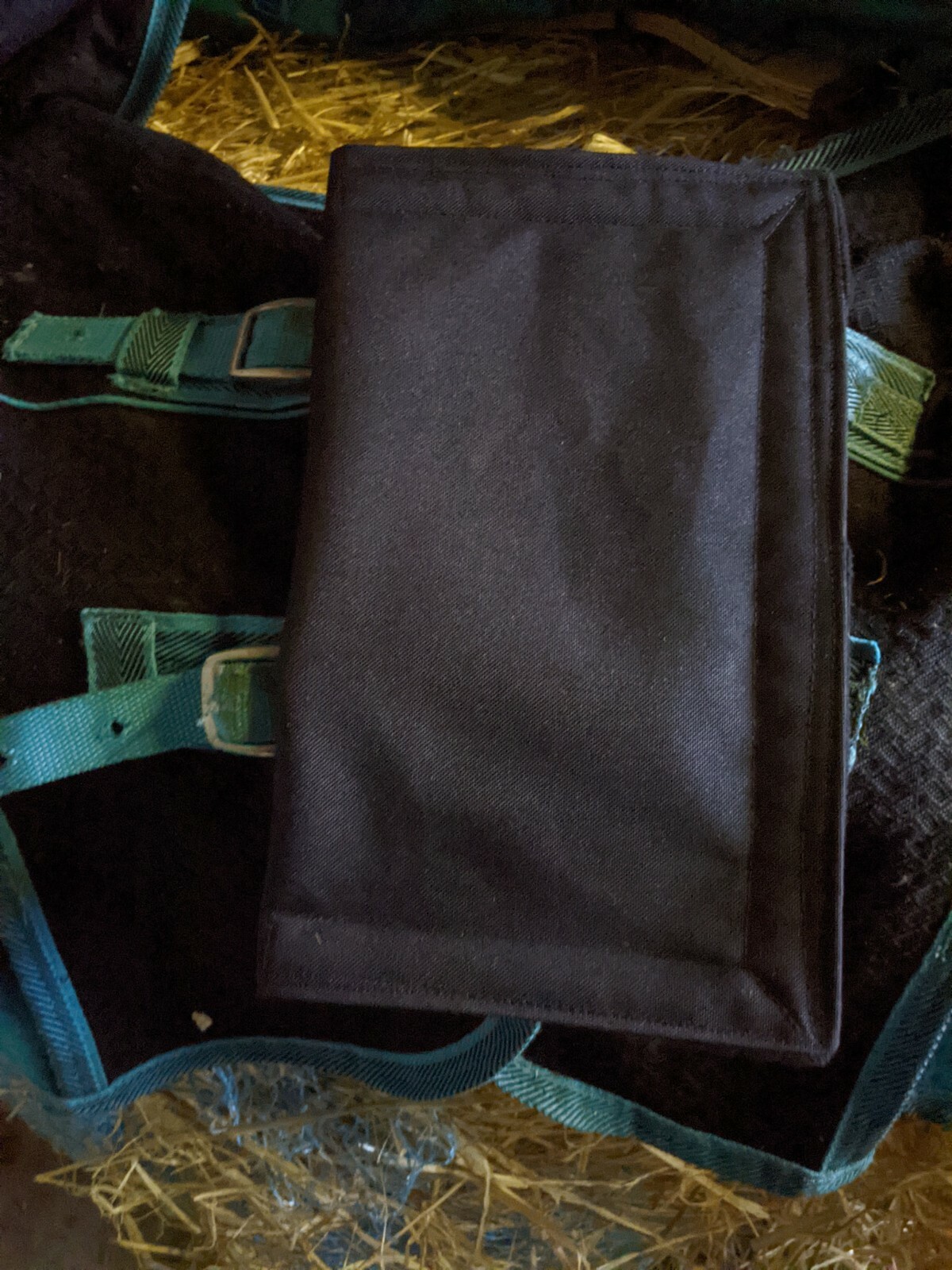 Black Turn Out Horse rug buckle guard, rug buckle protector, horse rug