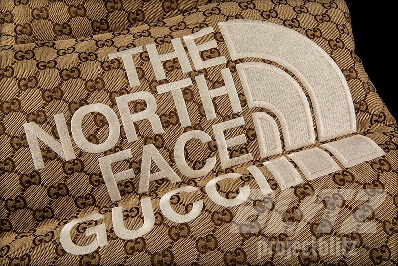 FW21 GUCCI X THE NORTH FACE DOWN VEST JACKET XL BEIGE 2021 TNF | eBay