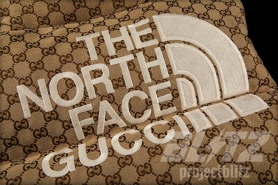 FW21 GUCCI X THE NORTH FACE DOWN VEST JACKET XL BEIGE 2021 FW21 GUCCI X THE NORTH FACE DOWN VEST JACKET XL BEIGE 2021
