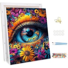 DIY Malen Nach Zahlen Erwachsene Set mit Rahmen und Acrylfarbe 30x40cm