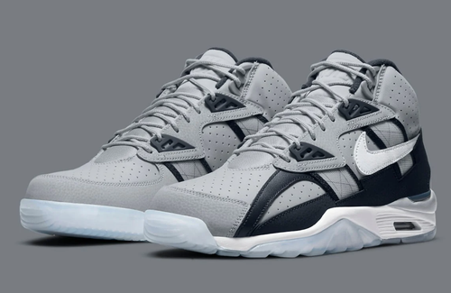 air trainer sc georgetown