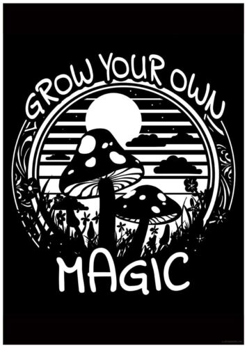Laminated Mushrooms Grow Your Own Magic Mini Poster - Afbeelding 1 van 1