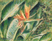 Limited Edition Print Bird of Paradise Flower Plant Floral Painting Fine Art COA