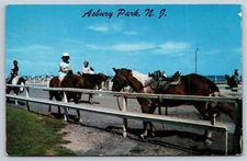 Postcard Asbury Park New Jersey Pony Rides on the Beach