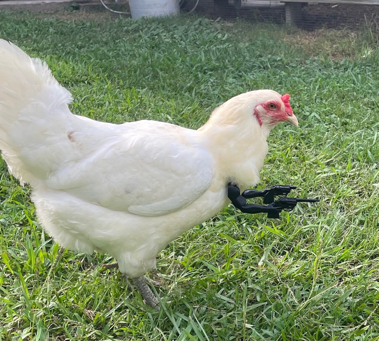 Chicken Arms With Toy Cowboy Guns To Protect The Flock Multiple Colors Available