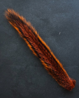 Squirrel Tail. (1)  Large Natural Grey Squirrel Tail Dyed In Color Orange..