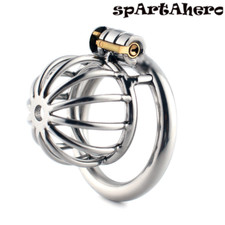 Male Chastity Cage Metal Device Bird Cages Restraint Sizes Ring Lock For Men