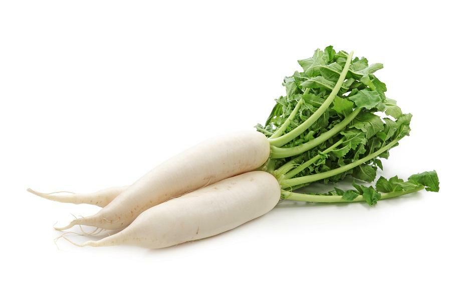 SEMI SEMENTI RAFANO DAIKON 5KG