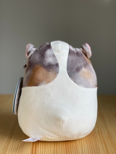Squishmallows Sammlung Pax das Meerschweinchen Kleintier Pet Squad 7,5 Zoll Neu mit Etikett - Bild 7 von 9