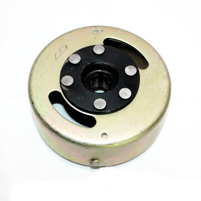 Magneto Volant Rouleau Pour Pit Pro Quad Dirt Bike ATV Buggy In Martinique At - Foto 8