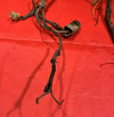 1984 HONDA ATC200ES ATC 200 BIG RED MAIN WIRE HARNESS 32100-969