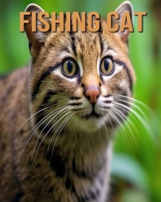 Fishing Cat Learn About Fishing Cat and Enjoy Amazing F -  NEW TRISTAN. FAIRWO 2