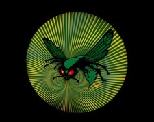 1966 Green Hornet Complete Series Dvd