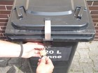 Bild 8 von 10