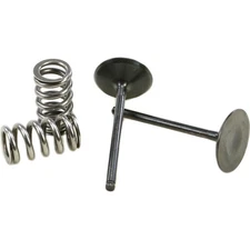Pro X Steel Intake Valve and Spring Kit 28.SIS2444-2