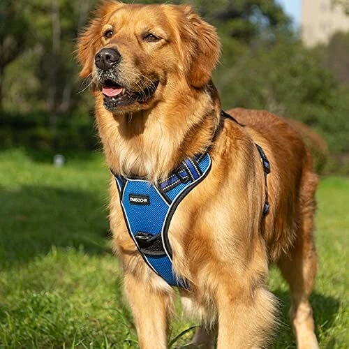 Dog Harness for Medium Large Dogs No Pull S (neck: 12"-19" chest: 14"-25") Blue