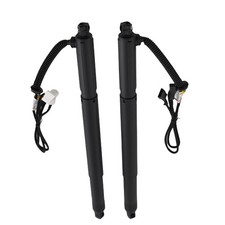 Auto Tailgate Boot Gas Struts Rear LH & RH for BMW X6 E71 E72 Spindle Drive