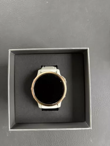 Garmin Fenix 6s