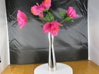 Bild 6 von 7