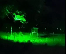 Night Hunting Hog Wild game Solar Motion Activated feeder Green pig light LED