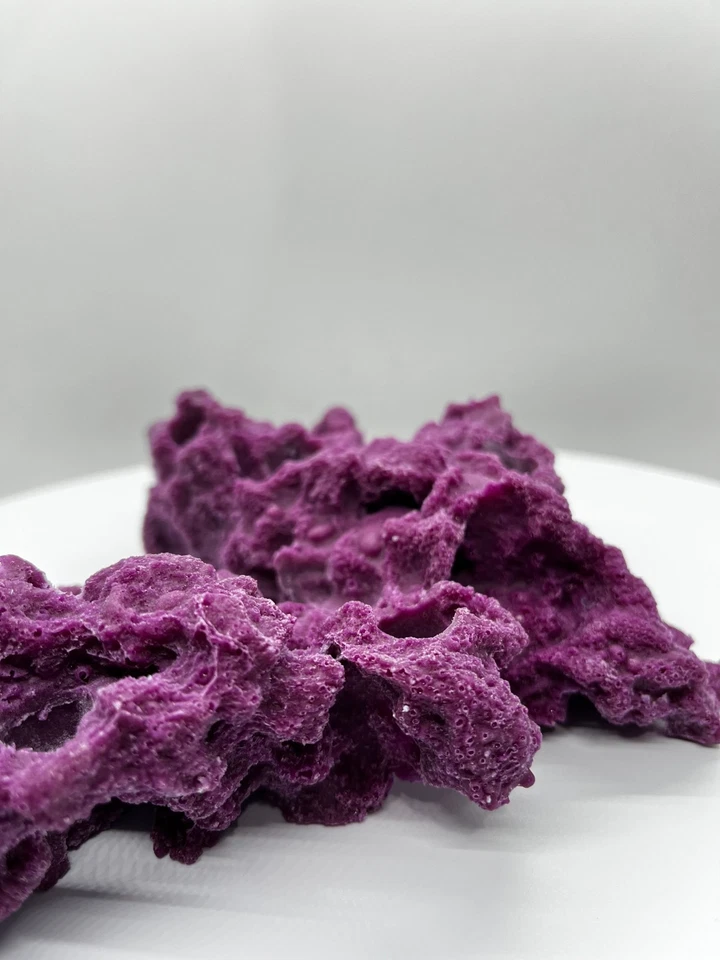 8 Hole Sandbed Frag Rack/Rock base for Live Coral Plug Ons - Image 3 of 4