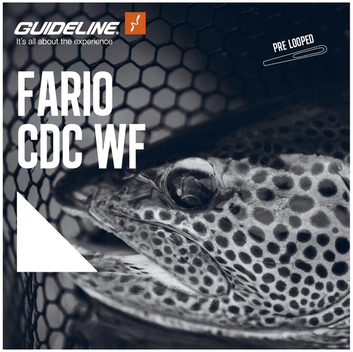 Guideline® Fario CDC WF Fly Line ** NUEVAS existencias 2023 ** GUÍA DEL DISTRIBUIDOR DEL REINO UNIDO - Imagen 2 de 3