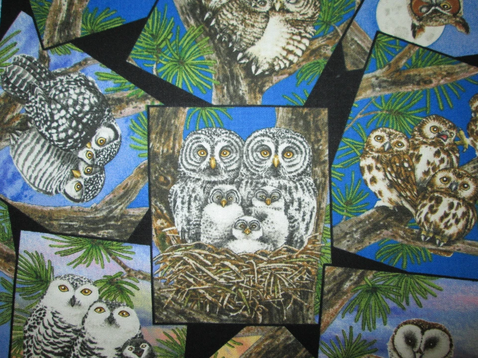 OWLS BLOCKS REALISTIC TREE OWL GREEN BLACK COTTON FABRIC FQ OOP - Image 2 of 4