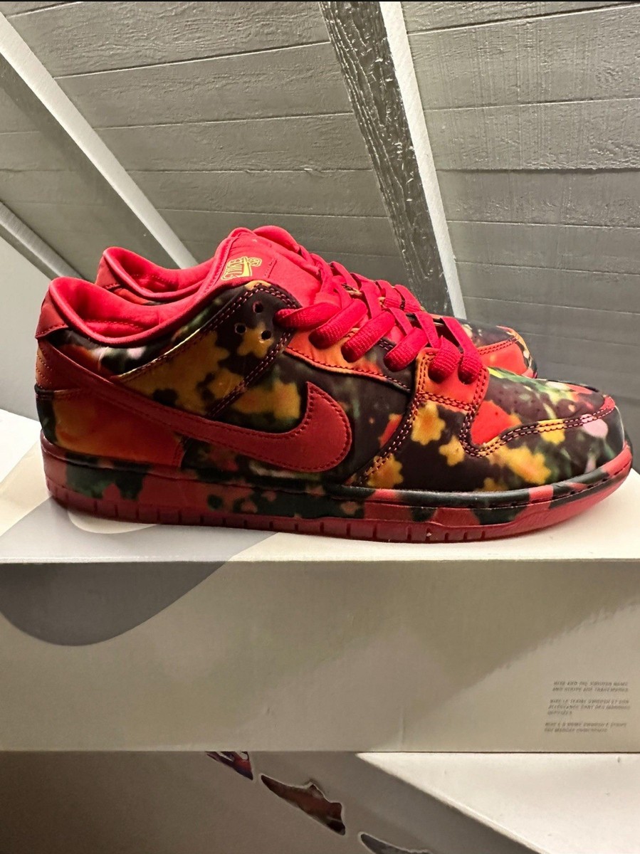 Size 9.5 - Nike The Wizard of Oz x Dunk SB Low Poppy Field | eBay