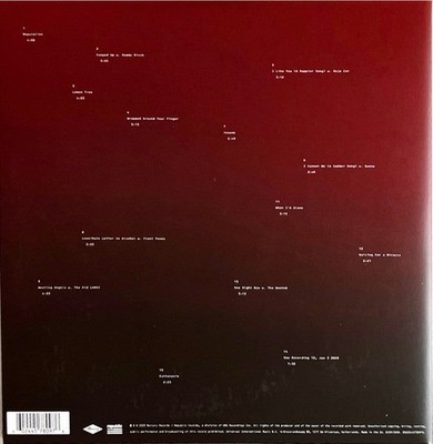 Post Malone - Twelve Carat Toothache - Vinyl Record - H1452z