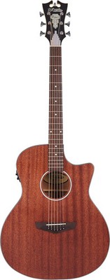 D'Angelico Premier Gramercy LS - Satin