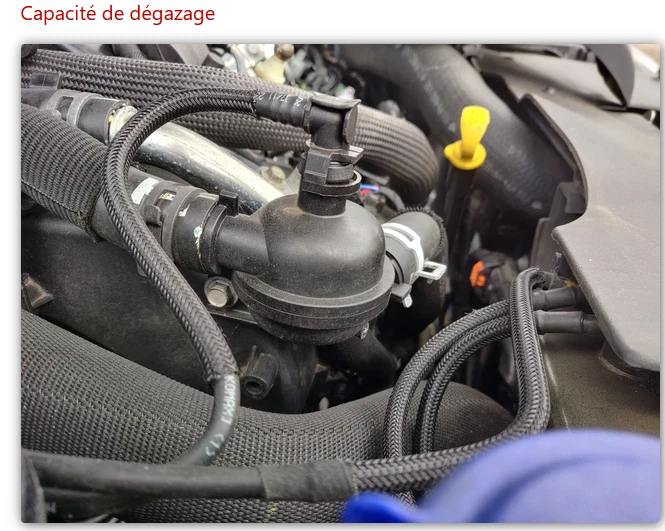Universal LDR degassing capacity - Citroen Peugeot Jaguar - same part 🇪🇺 - Image 4 of 4