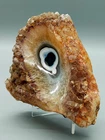 Impressive Agate Slice with Quartz Crystals - Natural Mineral