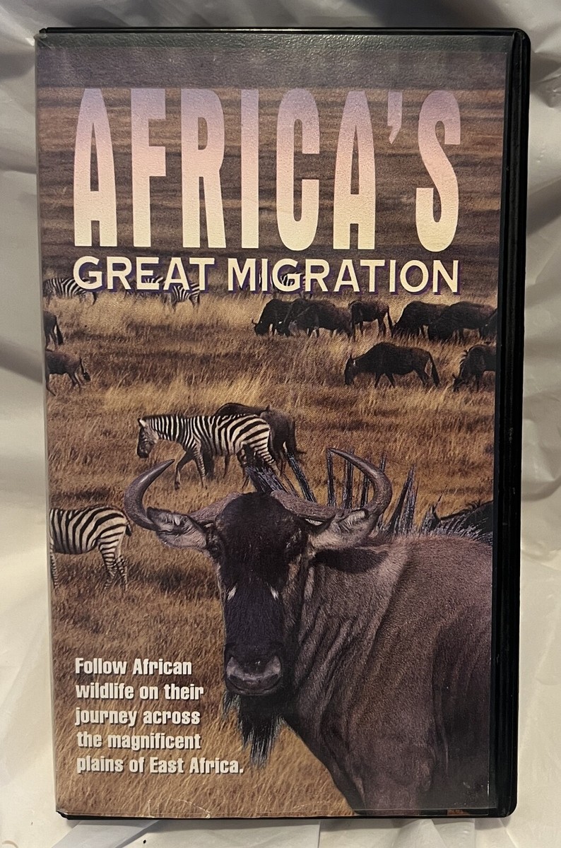 Africa 