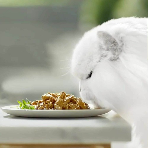 Gourmet Perle Cat Food Mini Fillets Chicken in Gravy 85g×26 Complete pet food PM - Picture 2 of 3