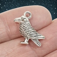 Silver Raven Charms 10-Pack, Bird Pendants DIY Jewelry Wiccan Gothic Craft