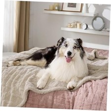 Waterproof Dog Blankets for Large Dogs - Pet Blanket for XL 50x60" Cream