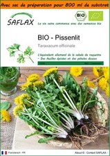 SAFLAX Jardin dans le sac - BIO - Pissenlit - 400 graines - Taraxacum