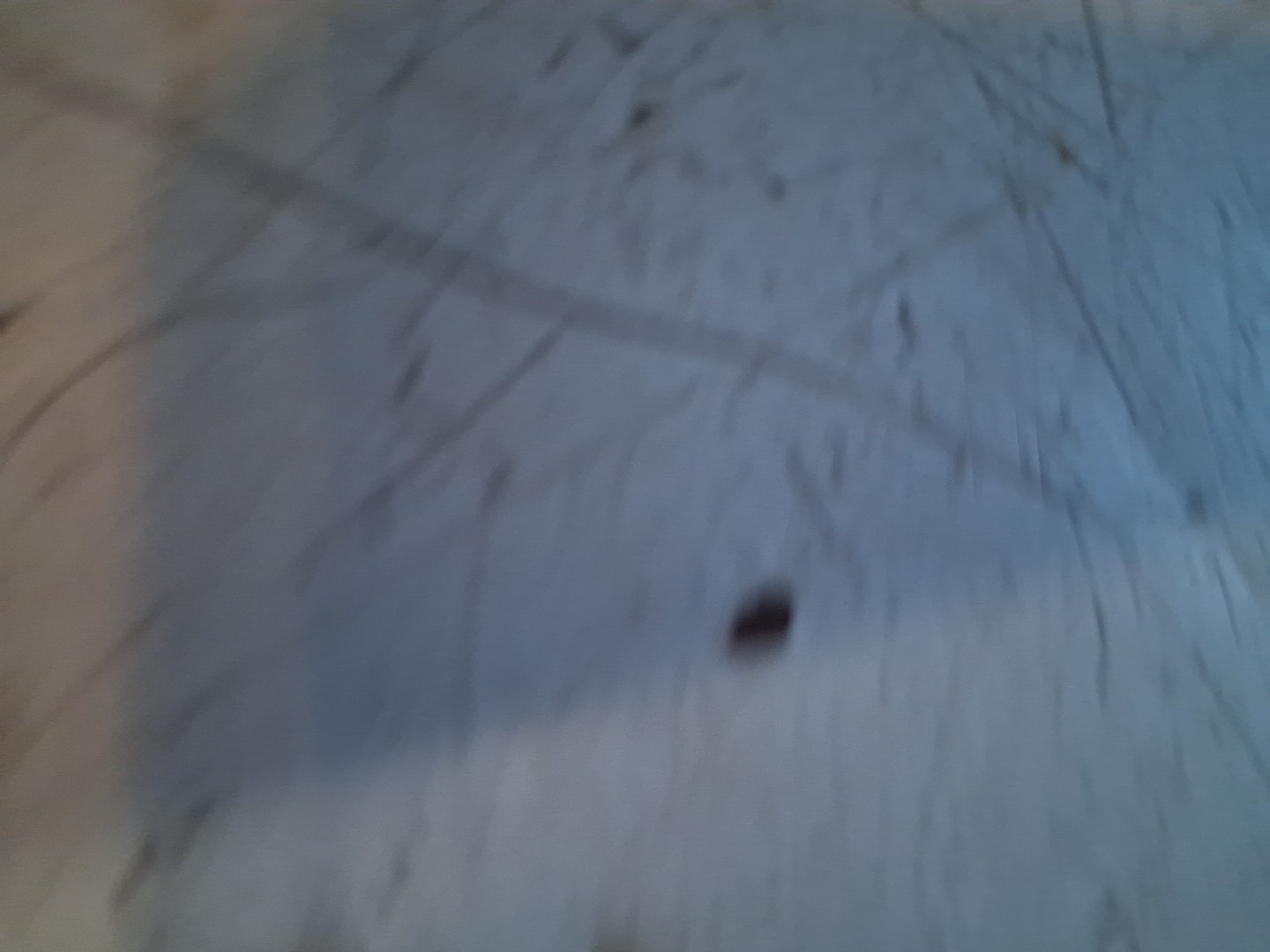 Picture 13 of 16