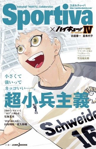 Haikyuu romanzo versione sportiva limitata set completo 13 e 13 copertine libri incluse - Foto 8 di 19