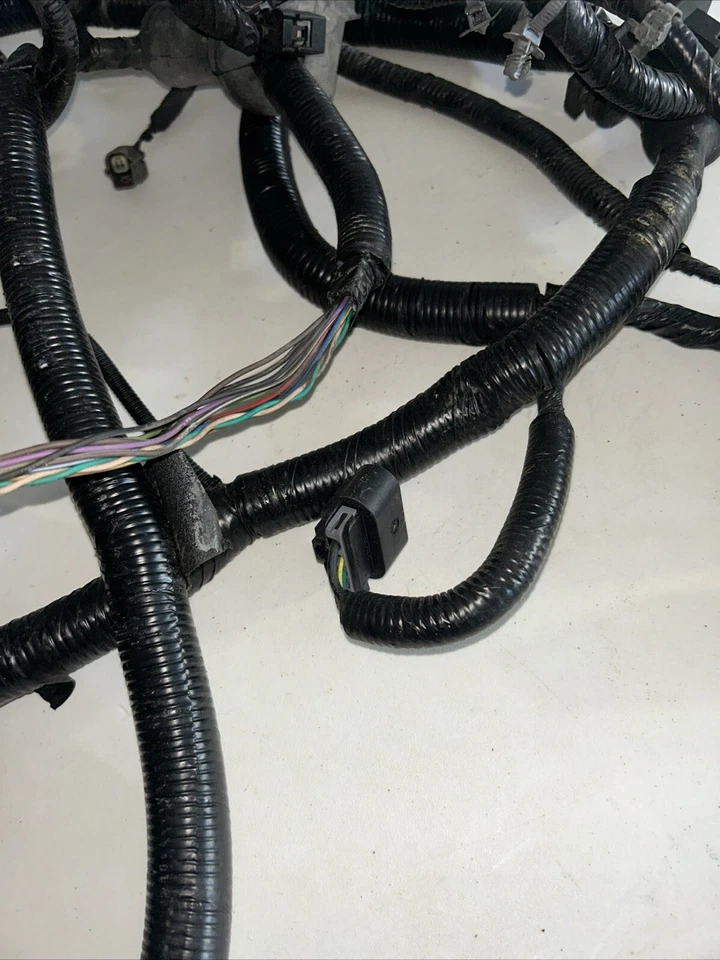 2010 Buick LaCrosse OEM Front Headlamp Wiring Harness GM 20829259 - Image 4 of 4