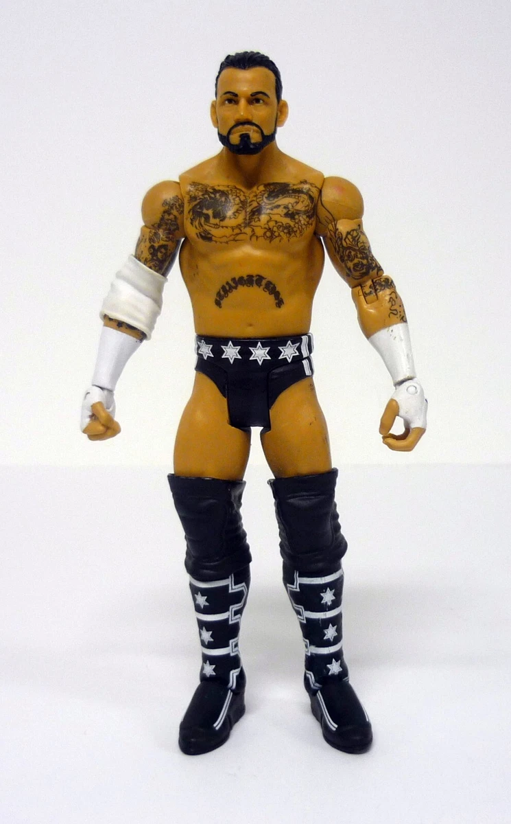 WWE Signature Series CM Punk Wrestling 7