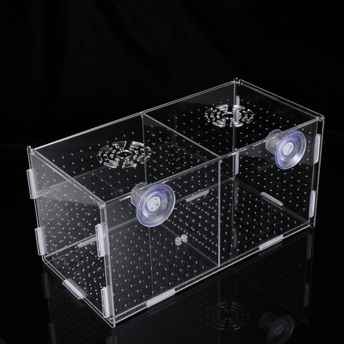 Boîte De Rangement Et Égouttoir à Biberons Avec Couvercle - Support Séchage Anti-poussière, Compact