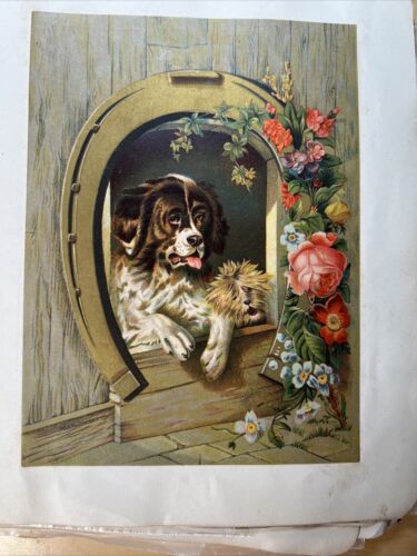 Effemero vittoriano con copertina lamina in rilievo album di ritagli caccia cani gatti uccellini - Foto 12 di 24