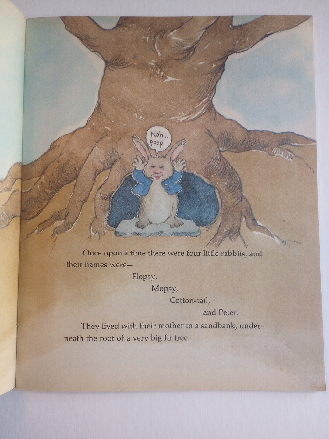 Picture 6 of 6