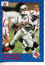 1991 All World Canadian Football CFL Chris Skinner Card #14