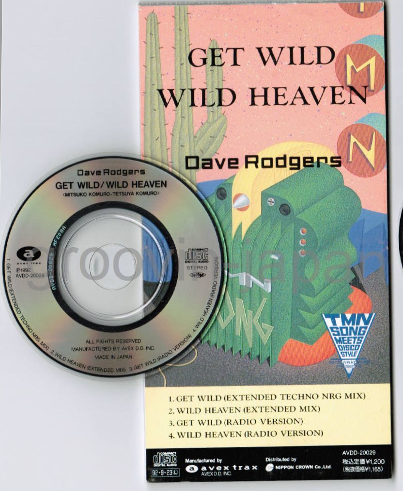 WILD HEAVEN／DAVE RODGERS EUROBEAT Dave Rodgers Celebrating TMN – Wild Heaven – Vinyl (12