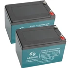 2 Pack 6-dzf 6-DZM-12 12V 12Ah Sealed Lead Acid Battery with Nut & Bolt Terminal